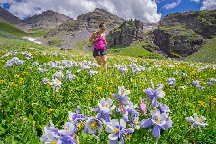 Find Colorado Wildflower Peak Season