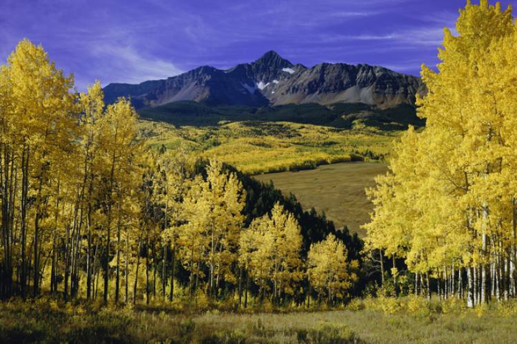 telluride fall, fall in telluride