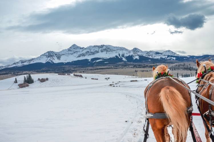 Telluride Sleigh Rides