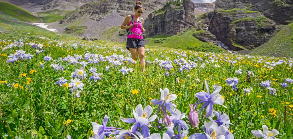 telluride wildflower trails